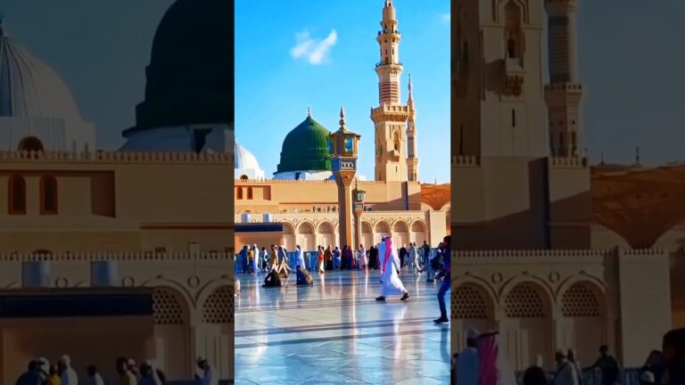 #maliktanveer #live #madina #kabbah #travel #naat#newnaat #viral #trending #reels #vlogs #video