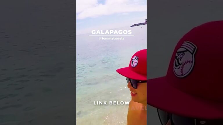 #TommyTravelz #travelnow #traveltips #galapagos #sancristobal #santacruz #islabaltra #isabelaisland