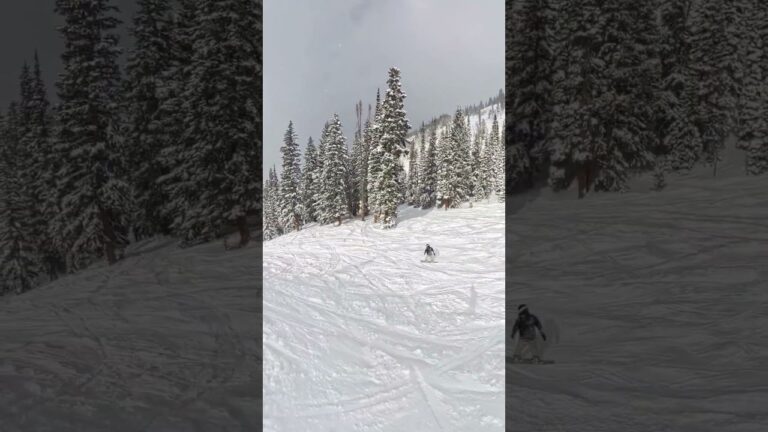 Best All Mountain Snowboard 2025 2026 #visit #vacation #travel #nature #snow #snowboarding #shorts