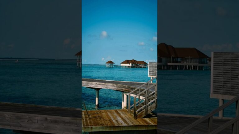 Maldives #shorts #ytshorts #trending #viral #maldives