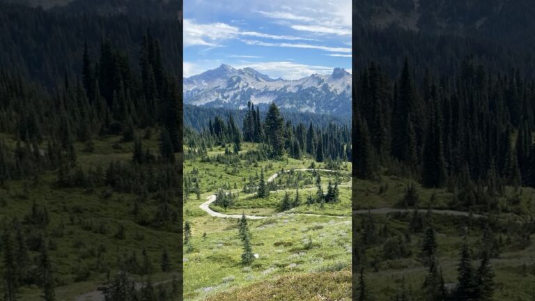 Tip to Visit Mount Rainier National Park No.6 #mtrainier #mountrainier #usnationalparks traveltips