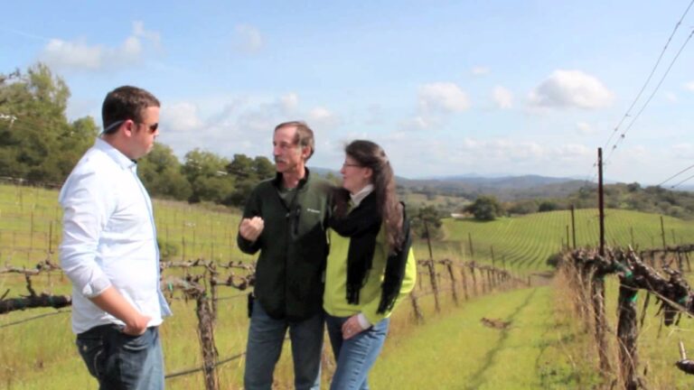 Expedia Road Trip: California Wine Country
