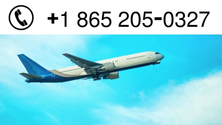 Expedia Customer Service | Direct Contact Channels for Assistance