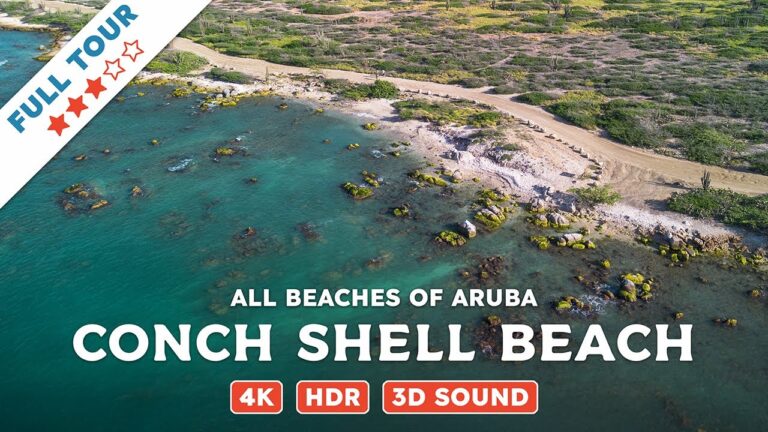 Conch Shell Beach, Aruba — Beach Walking Videos of ALL Beaches of Aruba (4K, HDR, 3D Sound)