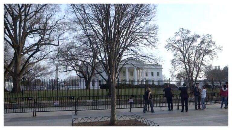 AJ's DC Adventures!