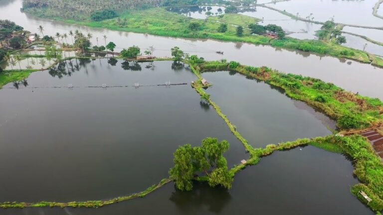 Jawa, Indonesia