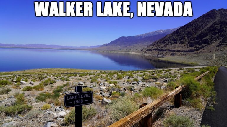 Exploring Walker Lake, Nevada | A Desert Lake That Is Slowly Drying Up